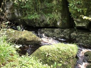 74-Marble-Arch-Caves-Global-Geopark