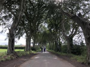 98-Dark-Hedges