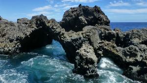 Biosphere Reserve Isla de El Hierro 20