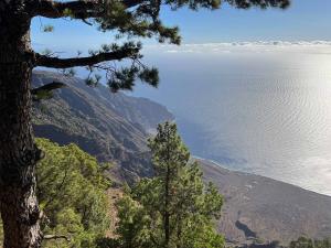 resized-IMG 5607