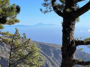 resized-IMG 5616