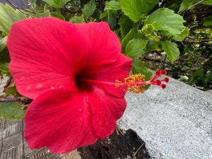 resized-IMG 5964