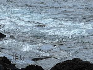 resized-IMG 5975
