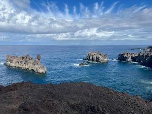 resized-IMG 6072