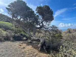 resized-IMG 6114