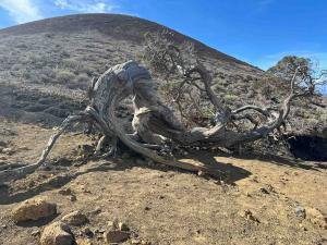 resized-IMG 6123