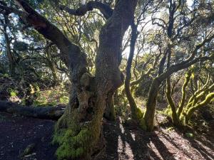 resized-IMG 6310