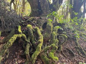 resized-IMG 6344