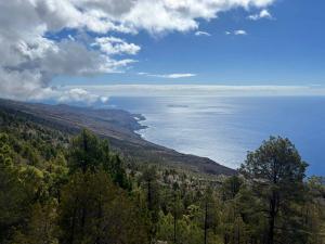 resized-IMG 6373