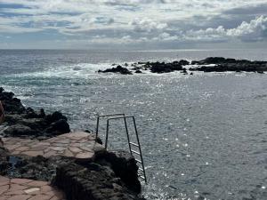 resized-IMG 6449