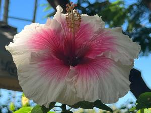resized-IMG 6796