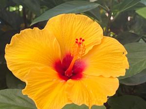 resized-IMG 6797