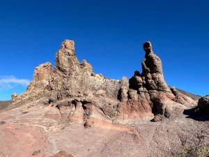 resized-IMG 6946