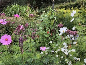 9-mount-usher-gardens-blommor